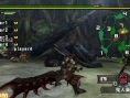 Monster Hunter G : des images