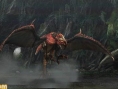 Monster Hunter G : des images
