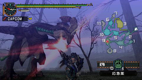 Monster Hunter G en images