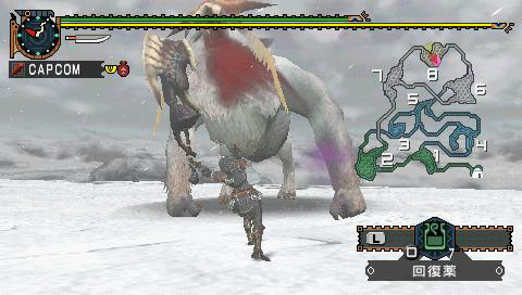 Monster Hunter G en images