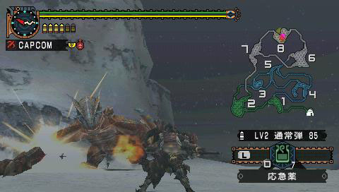 Monster Hunter G en images