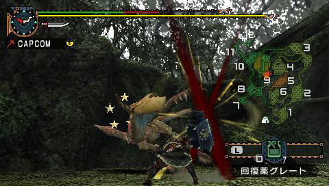 Monster Hunter G en images