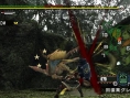 Monster Hunter G en images