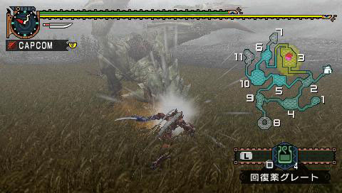 Monster Hunter G en images