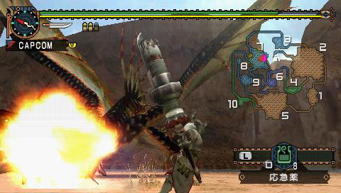 Monster Hunter G en images