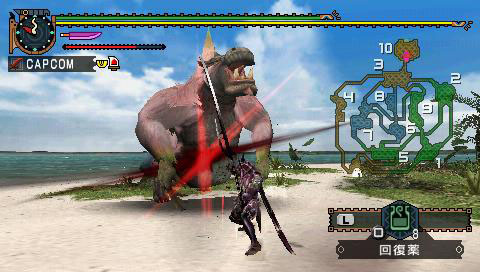 Monster Hunter G en images