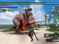 Monster Hunter G en images