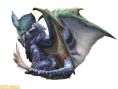 Monster Hunter 2nd G en images