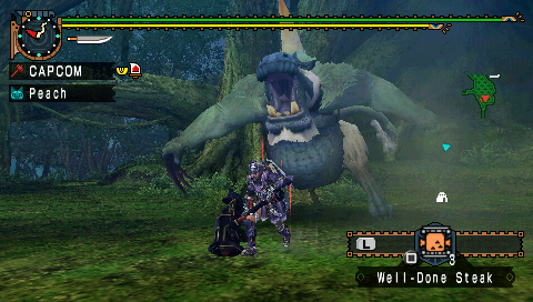 Monster Hunter Freedom Unite de retour en images