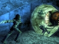 Vidéo Aliens/Predator