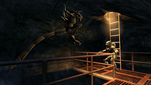 Vidéo Aliens/Predator