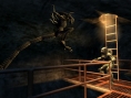 Vidéo Aliens/Predator