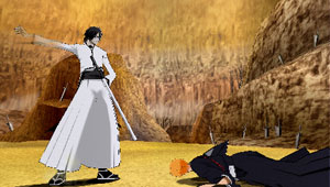 Bleach 5 : avalanche d'images