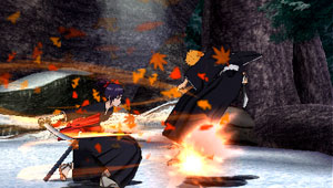 Bleach 5 : avalanche d'images