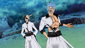 Bleach 5 : avalanche d'images