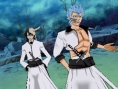 Bleach 5 : avalanche d'images