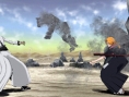 Bleach 5 imagé