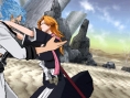 Bleach 5 imagé