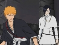 Bleach 5 en images