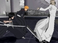 Bleach 5 en images