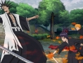 Bleach 5 en images
