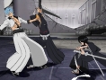 Bleach 5 en images