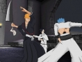 Bleach 5 en images
