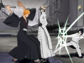 Bleach 5 en images