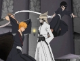 Bleach 5 en images