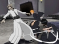 Bleach 5 en images