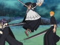 Bleach 5 en images