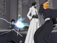 Bleach 5 en images