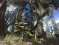 Two Worlds 2 en images