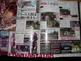 Images Phantasy Star Universe