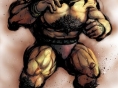 Street Fighter IV imagé