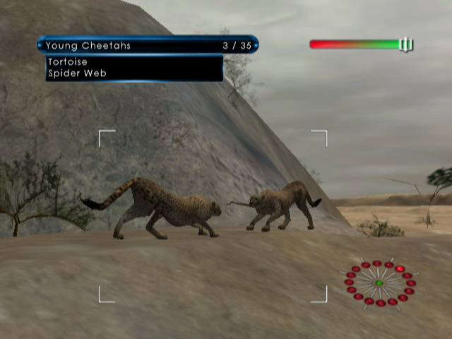Safari à la Wiimote