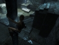 Plus d'images pour Tomb Raider 
