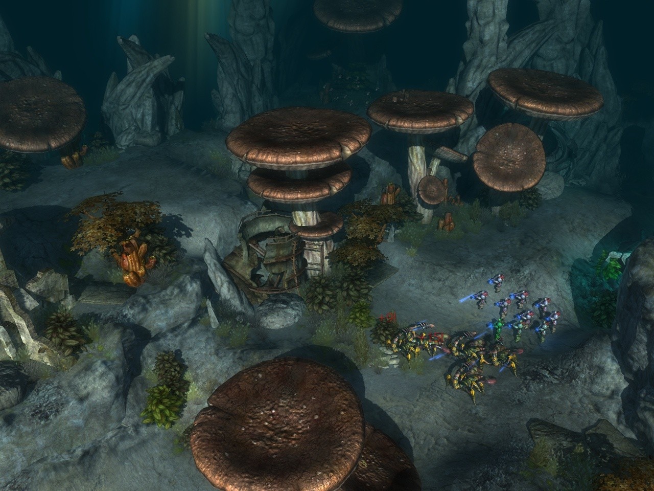 Worldshift en images