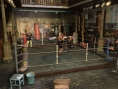 Images Prizefighters