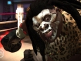 Vidéo Facebreaker