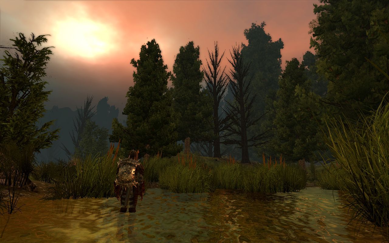 Dragon Age Origins : Images et infos