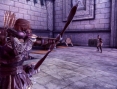 Dragon Age : Entre images et retard PS3