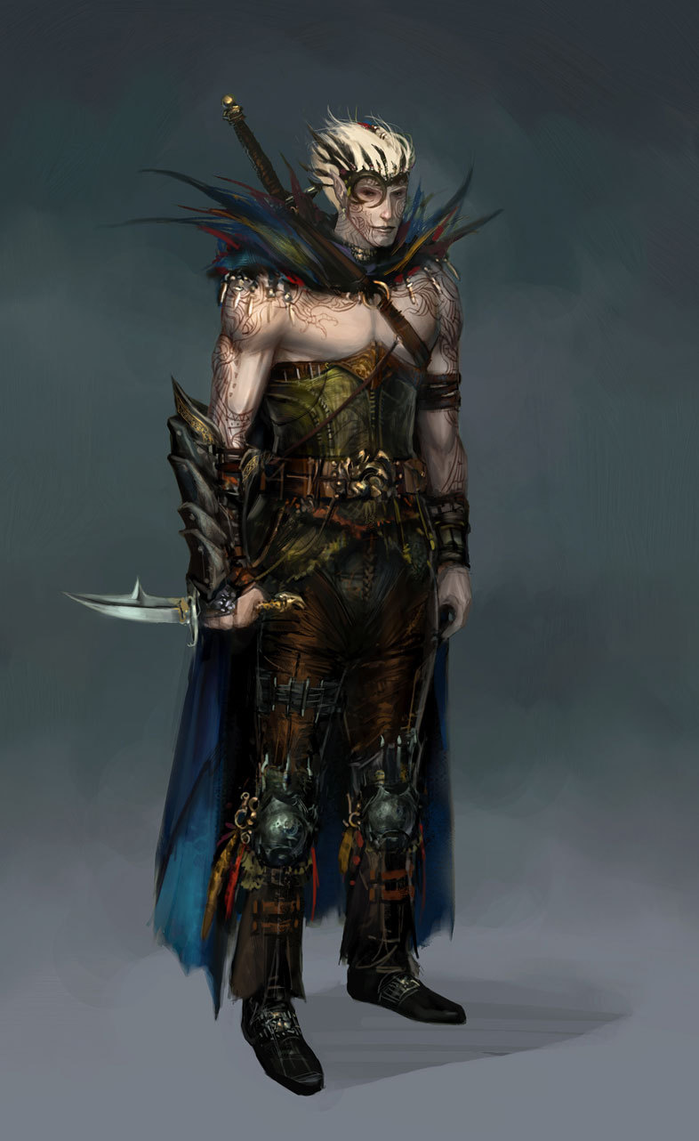 Dragon Age : Entre images et retard PS3