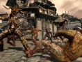 Dragon Age Origins: new images of DLC