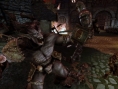 Dragon Age Origins: new images of DLC