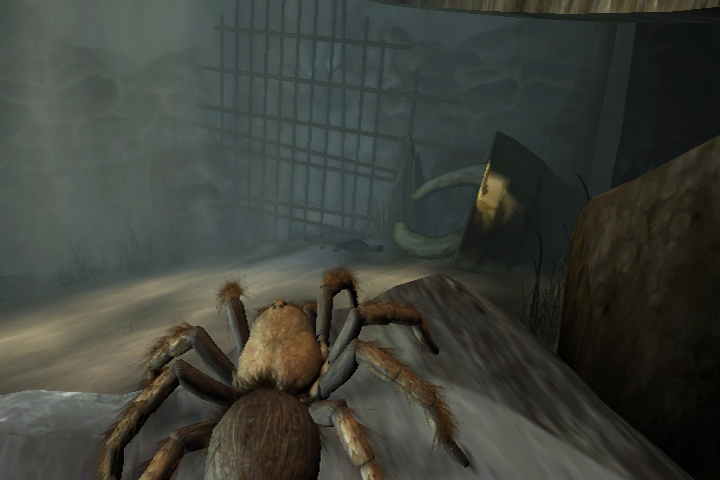 Images Deadly Creatures