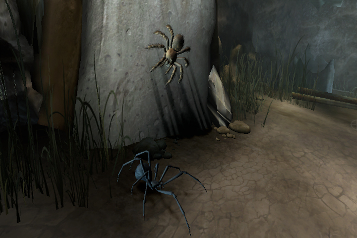 Images Deadly Creatures