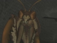 Deadly Creatures : new pics