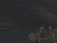 Deadly Creatures : new images