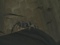 Deadly Creatures : new images